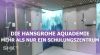 Embedded thumbnail for Erlebnisse, Inspirationen und Wissen rund ums Bad